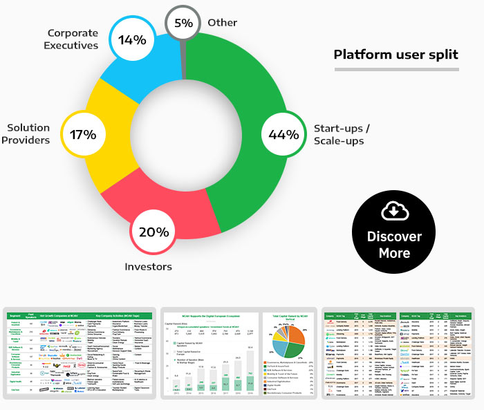 NOAH Digital - Platform user split